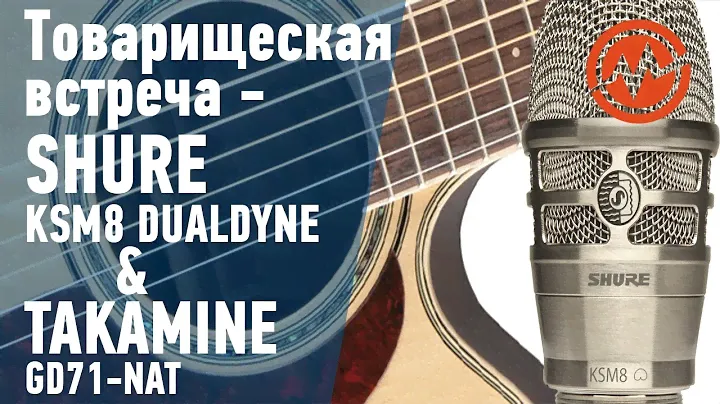 Микрофон Shure KSM8 & гитара Takamine GD71 - товарищеская встреча